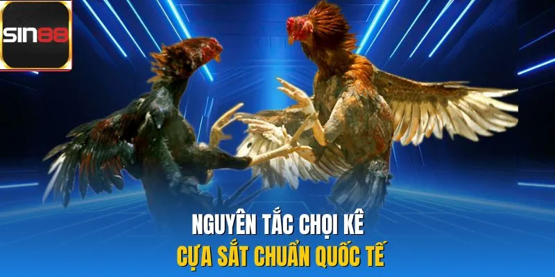 Nguyên tắc chọi kê cựa sắt chuẩn quốc tế