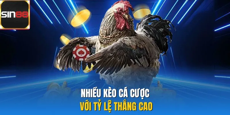 Nhiều kèo cá cược với tỷ lệ thắng cao